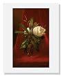 Martin Johnson Heade, Magnolias,