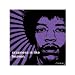 Jimi Hendrix - iPhilosophy Craziness 16x16