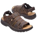 Skechers Men's Lee (Dark Brown 10.0 M)