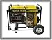 5500 Watt Diesel Generator Image