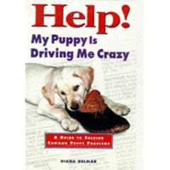 Help! My Puppy is Driving Me Crazy: Guide to Solving Common Puppy Problems