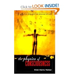 The Physics Of Consciousness: The Quantum Mind And The Meaning Of Life