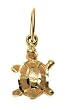 14k Yellow Gold Turtle Charm
