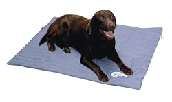 MuttMats-Large-30x36