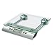 Salter 3003 Aquatronic Scale