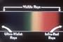 Ultraviolet Light Therapy: At the End of the Rainbow (1946) [DVD]