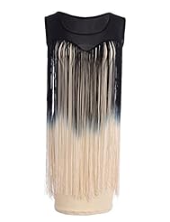 Polyester Sheer  Dress