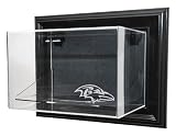 Baltimore Ravens Football Case-Up Display