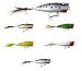 Matzuo P-40 Popper Color: Frog (FROG)