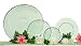 Clear Spanish Large Recycled Glass Fish Charger Plate 12\