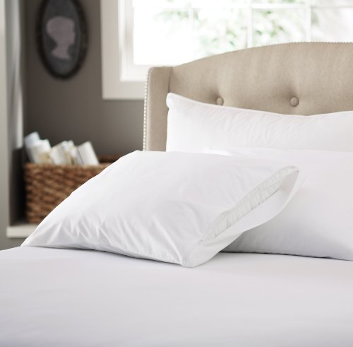 price Pinzon by Amazon.com 10095-Standard