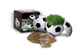 Dose Ball Box Rasen - 