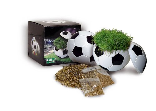 Dose Ball Box Rasen