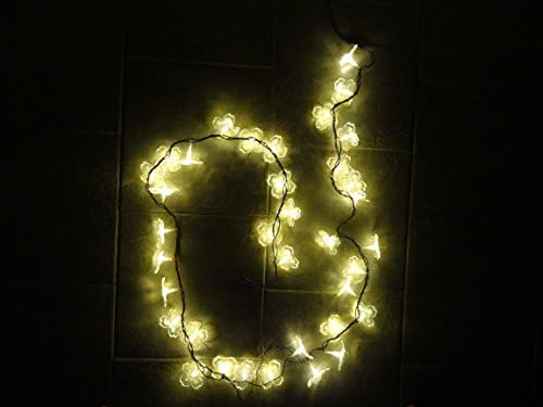 iLightPro 36-Count LED Linkable Warm White Decorative Blossom String Light Set (10 feet/ 3m) Indoor and Outdoor Use. Perfect for Christmas/Festival/Party/Birthday/Garden/Summer/Wedding