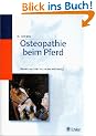 Osteopathie beim Pferd