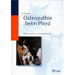 Osteopathie beim Pferd