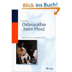 Osteopathie beim Pferd