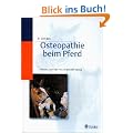 Osteopathie beim Pferd