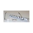 Tube Reader - Silver with Zebra pattern Case