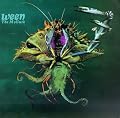 The Mollusk