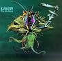 The Mollusk