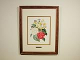 輸入雑貨：バラ図譜（Les Rose）　カメリア・ブーケ：薔薇