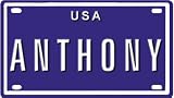 Anthony USA 2 1/4 X 4 Embossed Aluminum License Plate