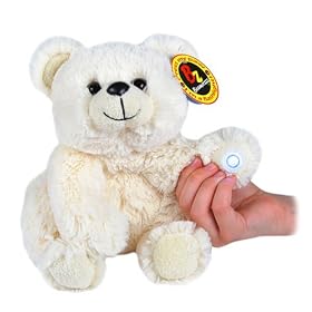 Click here to buy Beamerzzz Flashlight Teddy Bear 12.