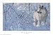 Arctic Wolf, Art Poster by Eric Bjorlin, size 36 x 24
