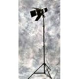 110 ws Mini Studio Monolight with Barndoor Honeycomb Gel Set and Light Stand