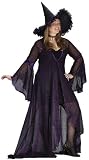 Adult Witch Costume - Shimmering Rose-One size fits (16-24)