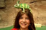 Produkt-Bild: Reptilientag f&uuml;r Kids in Landau