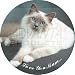 from Advanta Birman Cat-Gifts for Mum Sentiment Fridge Magnet