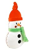 Dandelion Organic Winter Snowman Plush