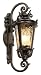 Casa Marseille 21 1/2″ High Energy Efficient Wall Light