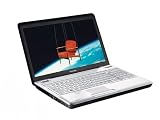 Toshiba Satellite L500D-11P 39,6 cm (15,6 Zoll) Notebook (AMD Athlon 64 X2 QL-65 2.1GHz, 4GB RAM, 400GB HDD, ATI Radeon HD 4570, DVD+- DL RW, Vista Home Premium)
