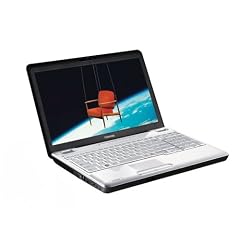 Toshiba Satellite L500D-11P 39,6 cm (15,6 Zoll) Notebook (AMD Athlon 64 X2 QL-65 2.1GHz, 4GB RAM, 400GB HDD, ATI Radeon HD 4570, DVD+- DL RW, Vista Home Premium)