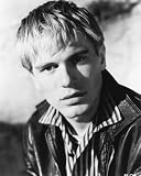 ADAM FAITH - Licensed Photo - Professional Photographic Print - Picture SIZE 10x8 (25x20cm)