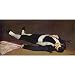 Edouard Manet (Dead Torero) Art Poster- 11x17 custom fit with RichAndFramous Black 17 inch Poster Hangers