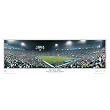 New England Patriots "Super Bowl XXXIX Champions vs. Eagles" Panoramic (In-Game) Photograph