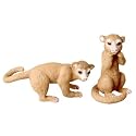 KINKAJOU by Noah's Pals