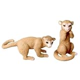 KINKAJOU by Noah's Pals