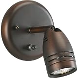 Wall Mount Directional Spotlight in Urban Bronze