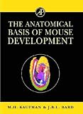 The Anatomical Basis of Mouse Development