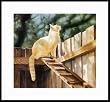 The Amazing Cat Ramp by Drew Strouble