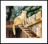 The Amazing Cat Ramp Framed Artist s Proof by Drew Strouble