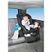 Blk Child Seat Organizer