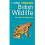 British Wildlife (Collins Wild Guide)