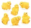 Chick Figurines in Set of 6 - Cold Cast Resin - 2.5'' Height