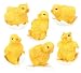 Chick Figurines in Set of 6 - Cold Cast Resin - 2.5'' Height